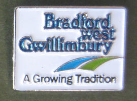 Bradford West Gwillimbury pin