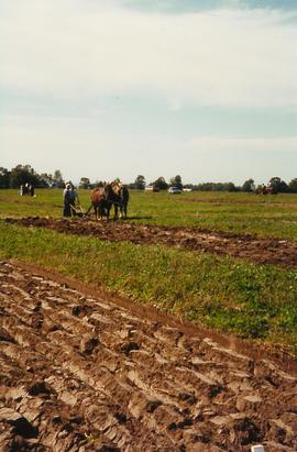 South Simcoe Plowing Match
