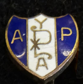Anglican Young People's Association pin