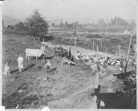 Stewart farm from B.C.