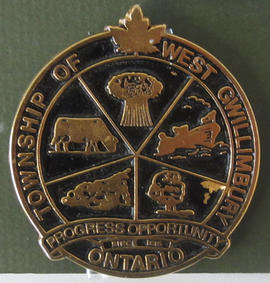 Township of West Gwillimbury brass pin