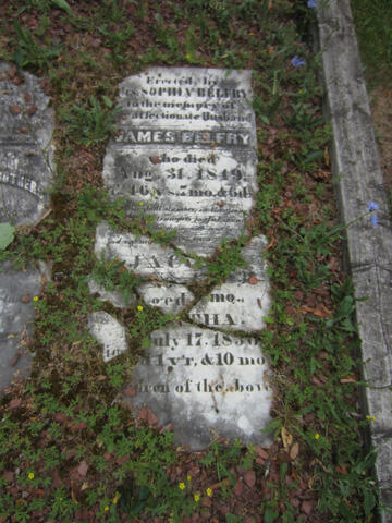 Open original Digital object
