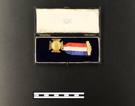 Private E.J. Billing's Medal