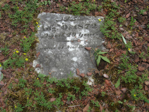 Open original Digital object