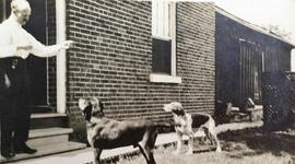 William L. Campbell with Hunting Dogs