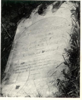 Tobias Fizzell's Grave