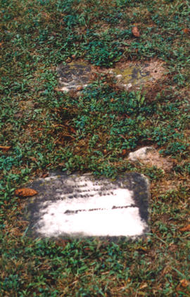 Fizzell Family Graves