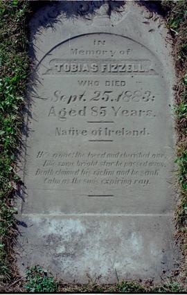 Tobias Fizzell's Gravestone