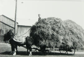 Load of Hay